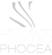 biotic phocea